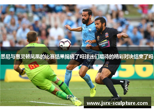 悉尼与惠灵顿凤凰的比赛结果揭晓了吗球迷们期待的精彩对决结束了吗